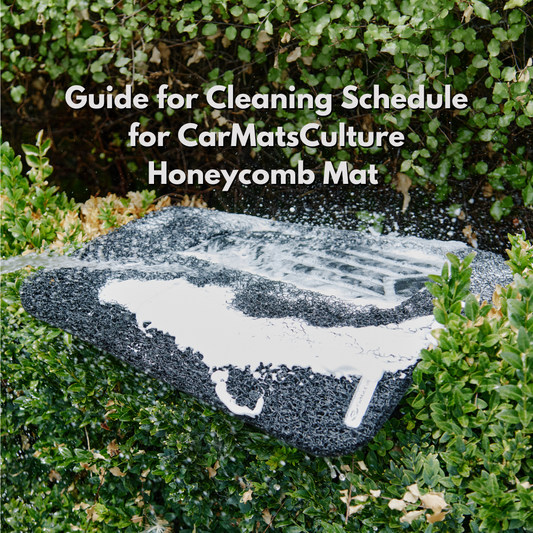 guide to cleaning schedule for your car mats