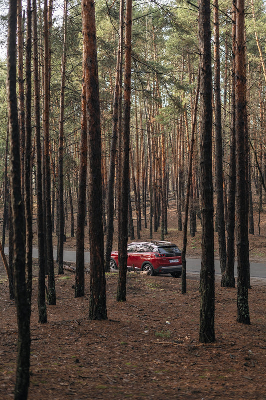 7 Gifts for Every Australian Car Owners on Your List in 2022